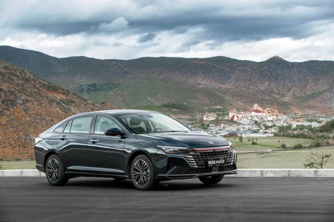 MAX享平生免费接济